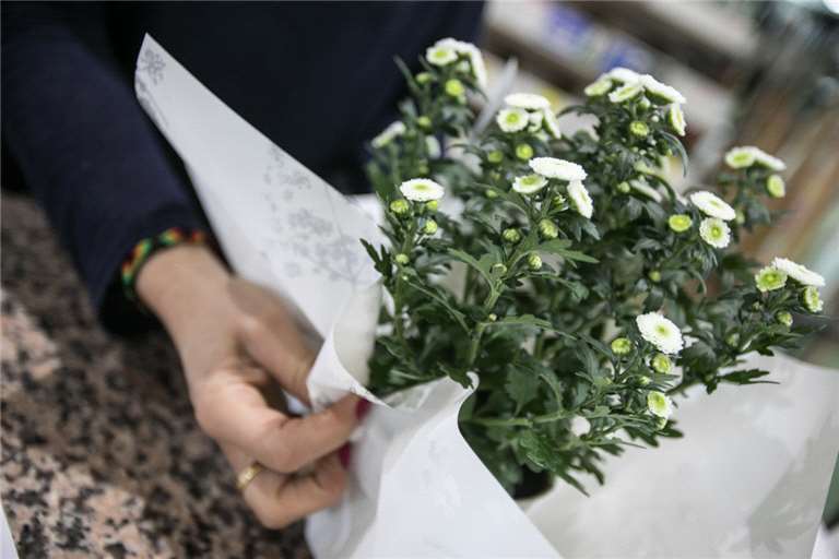 JARDINERIA Y FLORISTERIA